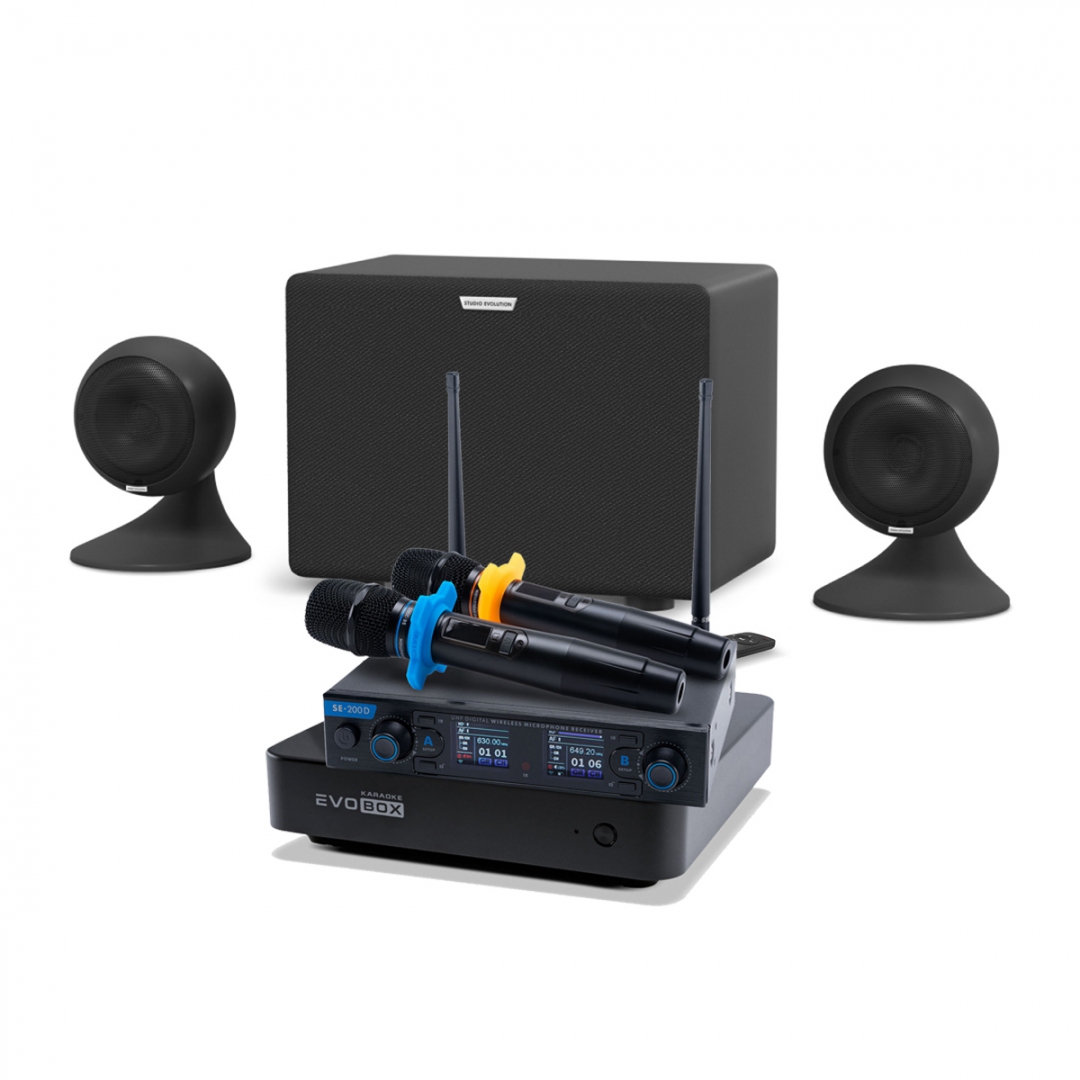 караоке-комплект EVOBOX + EvoSound Sphere 2.1 в Югорске
