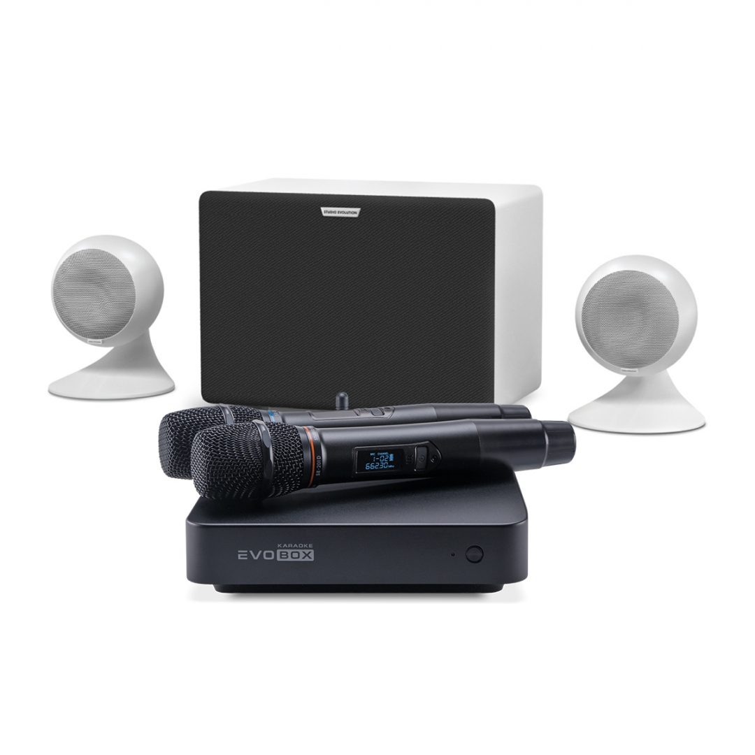 караоке-комплект EVOBOX Classic + EvoSound Sphere 2.1 в Югорске