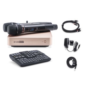 EVOBOX Classic караоке-система для дома в Югорске